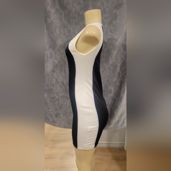 Annabelle sleeveless dress size small - Picture 3 of 4